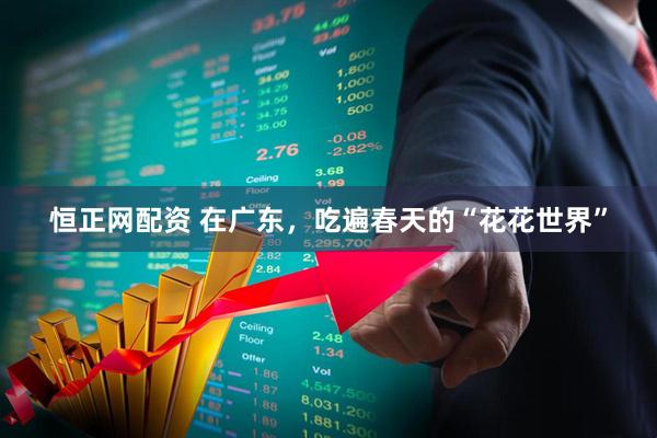 恒正网配资 在广东，吃遍春天的“花花世界”